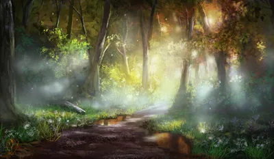 Serene Forest Illuminated Nature Wallpaper 4K 3096x1805 Hd, Desktop, Wallpaper, Of, A, Serene, Forest, Path, Illuminated, Sunbeams, Breaking, Through, White, Gray, Ultrawide, QHD