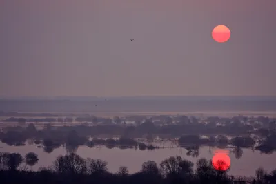 Hazy Morning Sunrise Nature Wallpaper 4K 1920x1280 Hazy, Morning, Sunrise, Gray, Landscape, Full HD