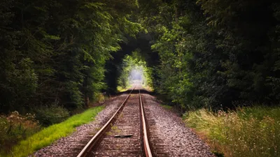 Crisp Serene Wallpaper Nature Wallpaper 4K 3840x2160 A, Serene, View, Of, Railroad, Track, Stretching, Through, Lush, Green, Forest, Framed, Brown, Gray, Ultrawide, 4k