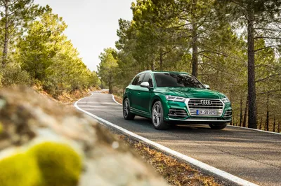 Serene Suv Wallpaper Cars Wallpaper 4K 3508x2338 Suv, Green, Car, Audi, Vehicle, Sq5, Desktop, White, Ultrawide, QHD