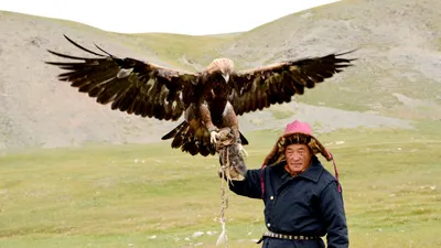 Golden Eagle Soars Animals Wallpaper 4K 5450x3065 A, Golden, Eagle, Soars, Above, Man, In, Traditional, Attire, Showcasing, Powerful, Bond, White, Gray, Ultrawide, 4k