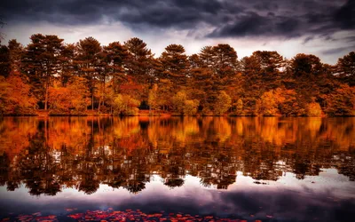 Serene Nature Autumn Nature Wallpaper 4K 1920x1200 A, Serene, Nature, Scene, Featuring, Autumn, Trees, Reflecting, Beautifully, Calm, Lake, Set, Brown, White, Ultrawide, Full HD