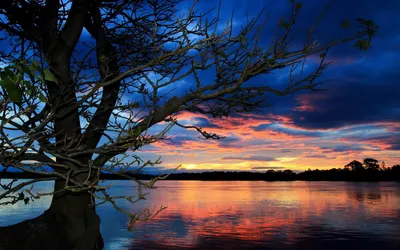 Calm Serene Wallpaper Nature Wallpaper 4K 1920x1200 Hd, Pc, Desktop, Wallpaper, Showcasing, A, Serene, Nature, Scene, Tree, Silhouetted, Against, Purple, Brown, Red, Ultrawide, Full HD