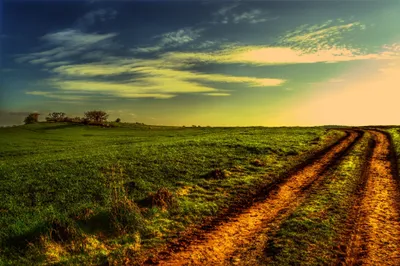 Winding Dirt Cutting Vibrant Nature Wallpaper 4K 2048x1360 Hd, Pc, Desktop, Wallpaper, Featuring, A, Winding, Dirt, Path, Cutting, Through, Vibrant, Pink, Purple, Ultrawide, Full HD