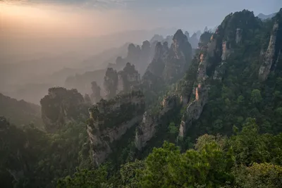 Misty Mountain Peaks Rise Dense Nature Wallpaper 4K 7770x5183 Misty, Mountain, Peaks, Rise, Above, Dense, Forest, In, Zhangjiajie, National, Park, Captured, Gray, Landscape, 4k