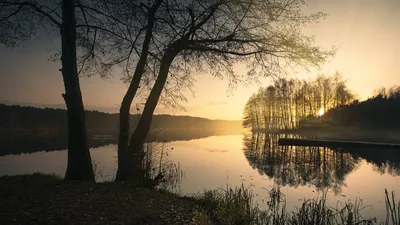 Bold Water Wallpaper Nature Wallpaper 4K 1920x1080 Water, Tree, Nature, Sunrise, Hd, Desktop, Wallpaper, Gray, Ultrawide, Full HD