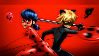 Ladybug Cat Noir Animals Wallpaper 4K 1920x1080 Hd, Desktop, Wallpaper, Featuring, Ladybug, And, Cat, Noir, Show, Miraculous, Tiki, Plagg, Red, Ultrawide, Full HD