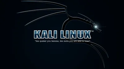 Vibrant Kali Wallpaper Technology Wallpaper 4K 1920x1080 Hd, Pc, Desktop, Wallpaper, Featuring, The, Kali, Linux, Logo, Sleek, Dragon, Design, Gray, Ultrawide, Full HD
