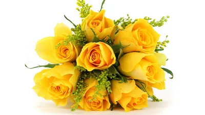 Vibrant Bouquet Yellow Roses Nature Wallpaper 4K 1920x1080 A, Vibrant, Bouquet, Of, Yellow, Roses, Against, White, Highlighted, High, Definition, Presenting, Purple, Ultrawide, Full HD