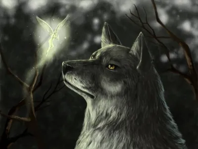 Mystical Grey Wolf Intently Animals Wallpaper 4K 1440x1080 Hd, Desktop, Wallpaper, Featuring, A, Mystical, Scene, With, Grey, Wolf, Intently, Gazing, Gray, Landscape