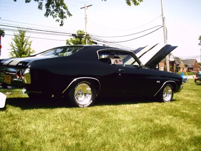 Bold Black Wallpaper Cars Wallpaper 4K 3680x2760 A, Striking, Black, Chevrolet, Chevelle, Ss, Parked, On, Grass, Showcasing, Classic, Muscle, White, Landscape, QHD