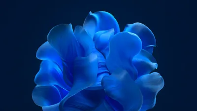 Dark Abstract Wallpaper Abstract Wallpaper 4K 3840x2160 Abstract, Blue, Shapes, Form, A, Flowing, Organic, Pattern, Ultra, Desktop, Creating, Dynamic, Red, Brown, Ultrawide, 4k