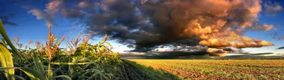 Radiant Vibrant Wallpaper Nature Wallpaper 4K 3840x1080 Hd, Pc, Desktop, Wallpaper, Showcasing, A, Vibrant, Landscape, Lush, Green, Crops, Under, White, Gray, Ultrawide, 4k
