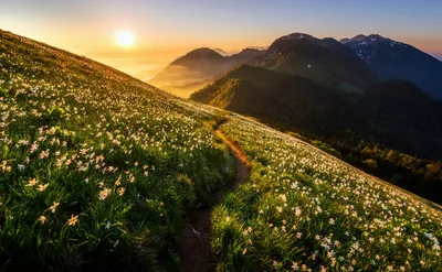 Bold Mountain Wallpaper Nature Wallpaper 4K 2764x1707 Hd, Desktop, Wallpaper, Featuring, A, Mountain, Landscape, At, Sunrise, Winding, Path, Through, Gray, Ultrawide, QHD