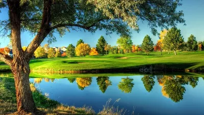 Serene Nature Vibrant Trees Nature Wallpaper 4K 1920x1080 Hd, Pc, Desktop, Wallpaper, Showcasing, A, Serene, Nature, Scene, Vibrant, Trees, Reflected, Brown, Pink, Gray, Ultrawide, Full HD