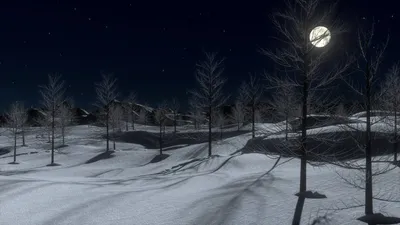 Winter Night Bare Nature Wallpaper 4K 1920x1080 Hd, Winter, Night, Scene, Of, Bare, Trees, Casting, Shadows, Snow, Under, Bright, Gray, Ultrawide, Full HD