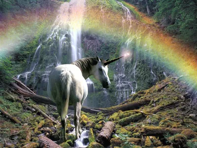 Bold Majestic Wallpaper Fantasy Wallpaper 4K 1365x1024 A, Majestic, Unicorn, Stands, Before, Waterfall, With, Vibrant, Rainbow, Serving, Captivating, Fantasy, White, Gray, Landscape