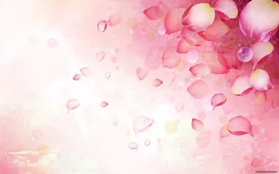 Dark Abstract Wallpaper Nature Wallpaper 4K 1920x1200 Abstract, Artistic, Hd, Pc, Desktop, Wallpaper, Featuring, Soft, Pink, White, Hues, Delicate, Ultrawide, Full HD