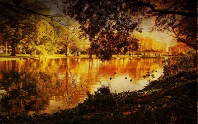 Golden Serene Wallpaper Nature Wallpaper 4K 1920x1200 Hd, Pc, Desktop, Wallpaper, Showcasing, A, Serene, Nature, Landscape, Golden, Autumn, Trees, Orange, Brown, Ultrawide, Full HD