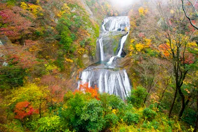Autumn Forest Waterfall Nature Wallpaper 4K 2048x1365 Autumn, Forest, Waterfall, White, Ultrawide, Full HD