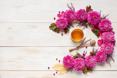 Radiant Still Wallpaper Nature Wallpaper 4K 5576x3717 Still, Life, Pink, Flower, Food, Honey, Hd, Desktop, White, Ultrawide, 4k
