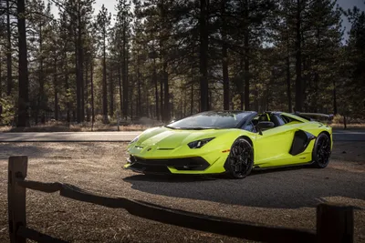 Bold Yellow Wallpaper Cars Wallpaper 4K 6720x4480 Yellow, Lamborghini, Aventador, Svj, Supercar, Parked, On, A, Forest, Road, High-detail, Ultra, Gray, Landscape, 4k