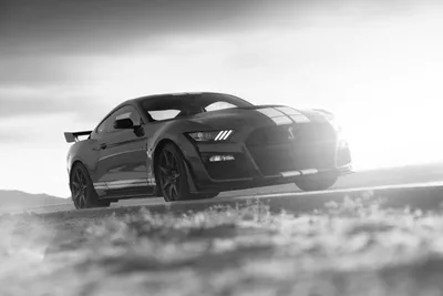 Black White Mustang Cars Wallpaper 4K 7952x5304 Black-and-white, 8k, Ultra, Hd, Desktop, Wallpaper, Of, A, Ford, Mustang, Shelby, Gt500, White, Landscape, 4k