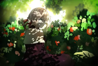 Anime Violet Evergarden Surrounded Nature Wallpaper 4K 2039x1378 Hd, Anime, Desktop, Wallpaper, Featuring, Violet, Evergarden, Surrounded, Vibrant, Flowers, Dappled, Sunlight, Black, White, Landscape, Full HD