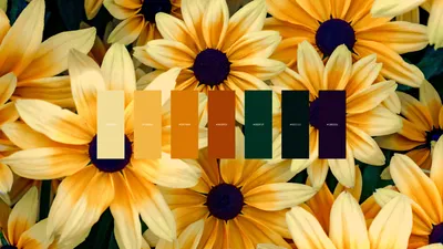 Dark Flowers Wallpaper Nature Wallpaper 4K 3840x2160 Flowers, Color, Palette, Orange, Pink, White, Ultrawide, 4k