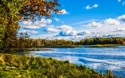 Vivid Serene Wallpaper Nature Wallpaper 4K 2560x1600 Hd, Pc, Desktop, Wallpaper, Featuring, A, Serene, Landscape, River, Lush, Green, Grass, Pink, Yellow, Ultrawide, QHD