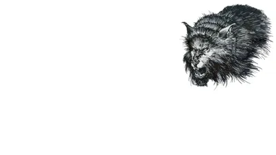 Dark Werewolf Black-dark Black/Dark Wallpaper 4K 1920x1080 Dark, Werewolf, Hd, Desktop, Wallpaper, Background, Image, White, Ultrawide, Full HD