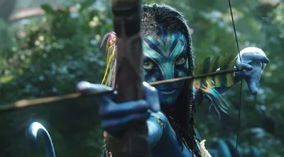 Dreamy Character Wallpaper Nature Wallpaper 4K 1905x1056 Hd, Pc, Desktop, Wallpaper, Of, A, Character, From, Movie, Avatar, Aiming, Bow, Gray, Ultrawide