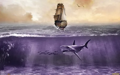 Shark Swimming Beneath Nature Wallpaper 4K 1680x1050 A, Stunning, Hd, Wallpaper, Featuring, Shark, Swimming, Beneath, Waves, Majestic, Ship, Above, Brown, White, Ultrawide