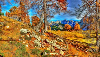 Golden Capturing Wallpaper Nature Wallpaper 4K 2592x1484 Hd, Pc, Desktop, Wallpaper, Capturing, Vibrant, Fall, Nature, Colorful, Autumn, Trees, Rocky, Brown, Gray, Ultrawide, QHD