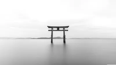 Vivid Serene Wallpaper Black/Dark Wallpaper 4K 5120x2880 A, Serene, Black, And, White, Photograph, Of, Traditional, Japanese, Torii, Gate, Standing, Ultrawide, 4k