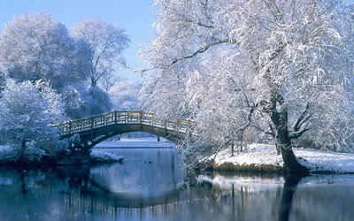 Dark Serene Wallpaper Nature Wallpaper 4K 1920x1200 A, Serene, Winter, Landscape, Featuring, Snow-covered, Tree, Wooden, Bridge, Reflecting, Calm, Pond, White, Pink, Ultrawide, Full HD