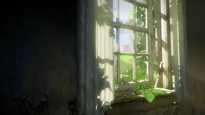 Sunlit Overgrown Window Capturing Post Games Wallpaper 4K 1920x1080 Hd, Wallpaper, Featuring, A, Sunlit, Overgrown, Window, Capturing, Post-apocalyptic, Atmosphere, Video, Game, White, Ultrawide, Full HD