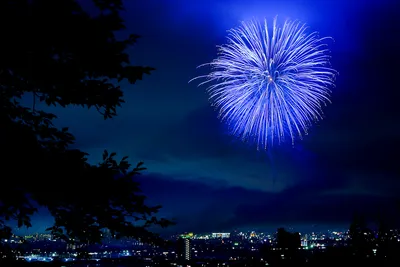 Blue Night Cityscape Photograph World Wallpaper 4K 1920x1280 Hd, Pc, Desktop, Wallpaper/background:, Blue, Night, Cityscape, Photograph, Fireworks, Bursting, Above, Lit, Red, Pink, Landscape, Full HD