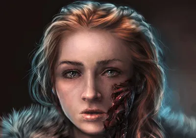Detailed Digital Portrait Space Wallpaper 4K 1920x1352 Hd, Pc, Desktop, Wallpaper, Featuring, A, Detailed, Digital, Portrait, Sansa, Stark, Show, Gray, Brown, Landscape, Full HD