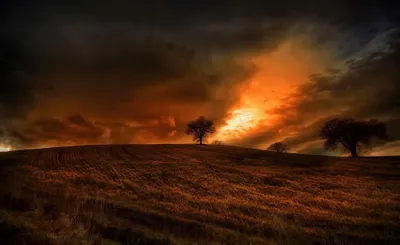 Serene Dramatic Wallpaper Nature Wallpaper 4K 2048x1253 A, Striking, Hd, Desktop, Wallpaper, Featuring, Dramatic, Sunrise, Over, Field, Scattered, Trees, Orange, Brown, Ultrawide, Full HD