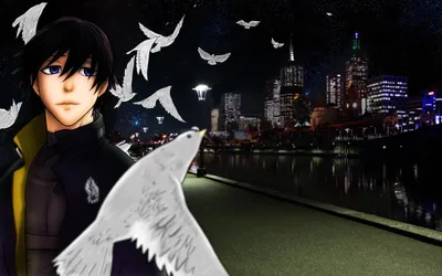 Moody Night Wallpaper Black/Dark Wallpaper 4K 2560x1600 Night, Bird, City, Dark, Hei, Darker, Than, Black, Anime, Desktop, Gray, Ultrawide, QHD