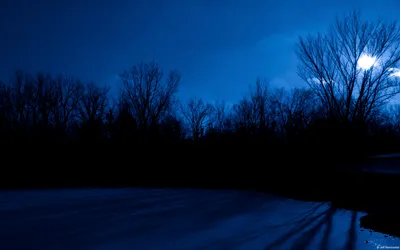 Calm Night Bare Nature Wallpaper 4K 1920x1200 Hd, Pc, Desktop, Wallpaper, Showing, A, Calm, Night, Scene, Bare, Trees, Silhouetted, Brown, Red, Ultrawide, Full HD