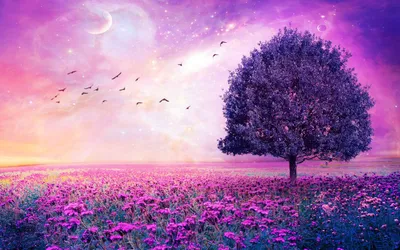 Misty Lone Wallpaper Space Wallpaper 4K 2880x1800 A, Lone, Tree, Stands, In, Vast, Field, Purple, Flowers, Under, Dreamy, Starry, White, Ultrawide, QHD