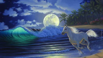 Majestic White Horse Gallops Animals Wallpaper 4K 1920x1080 A, Majestic, White, Horse, Gallops, Along, Beach, Under, Full, Moon, Vibrant, Waves, Brown, Gray, Ultrawide, Full HD