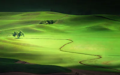 Vibrant Green Landscape Rolling Hills Nature Wallpaper 4K 1920x1200 Hd, Desktop, Wallpaper, Featuring, A, Vibrant, Green, Landscape, Rolling, Hills, Winding, Path, Pink, Yellow, Ultrawide, Full HD