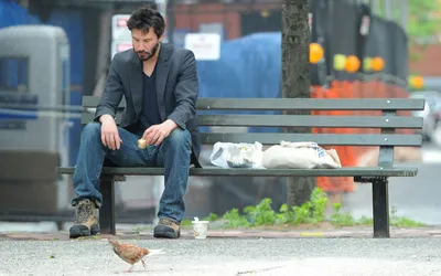 Somber Keanu Reeves Sits Bench Animals Wallpaper 4K 1680x1050 A, Somber, Keanu, Reeves, Sits, On, Bench, Contemplating, While, Bird, Approaches, Surrounded, White, Ultrawide