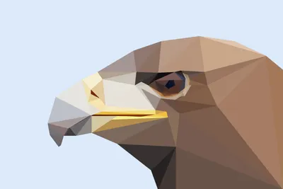Golden Minimalist Wallpaper Minimal Wallpaper 4K 2736x1824 Minimalist, Low-poly, Eagle, Head, Abstract, Faceted, Polygon, Bird, Warm, Tones, Quad, White, Landscape, QHD