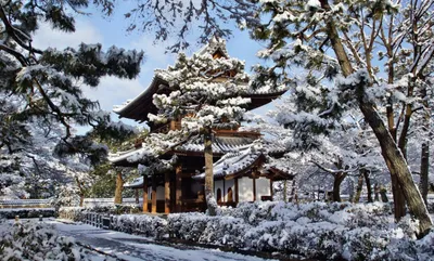 Snow Covered Kennin Temple Nature Wallpaper 4K 2930x1764 Snow-covered, Kennin-ji, Temple, In, Kyoto, During, Winter, Surrounded, Trees, Traditional, Architecture, Captured, Gray, Pink, Ultrawide, QHD