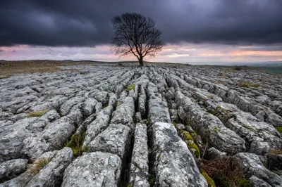 Misty Dramatic Wallpaper Nature Wallpaper 4K 2048x1365 Hd, Desktop, Wallpaper, Showing, A, Dramatic, Landscape, With, Lone, Tree, Standing, Rugged, Gray, Ultrawide, Full HD