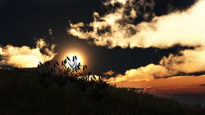 Dramatic Nature Landscape Nature Wallpaper 4K 1920x1080 Hd, Pc, Desktop, Wallpaper, Featuring, A, Dramatic, Nature, Landscape, Silhouetted, Grasses, Against, Gray, White, Ultrawide, Full HD